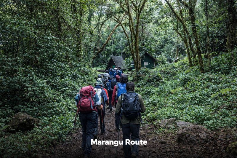 Marangu Route