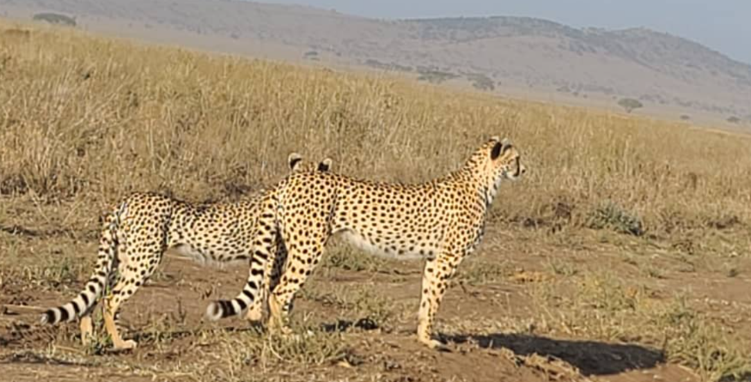Cycling tour in national parks